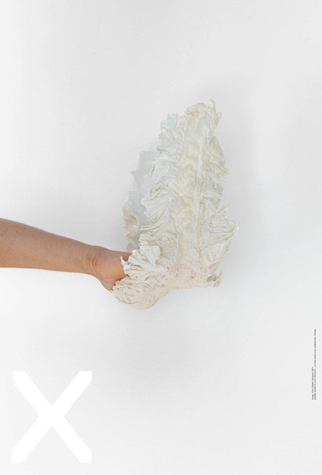 photo d'une main qui tient une grande algue blanche, sur un fond blanc