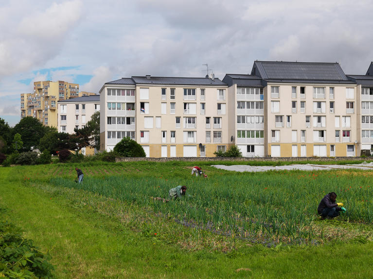 Geoffroy Mathieu, Jardins biologiques d’insertion, Association Aurore, Cité basse à Sevran, juin 2016