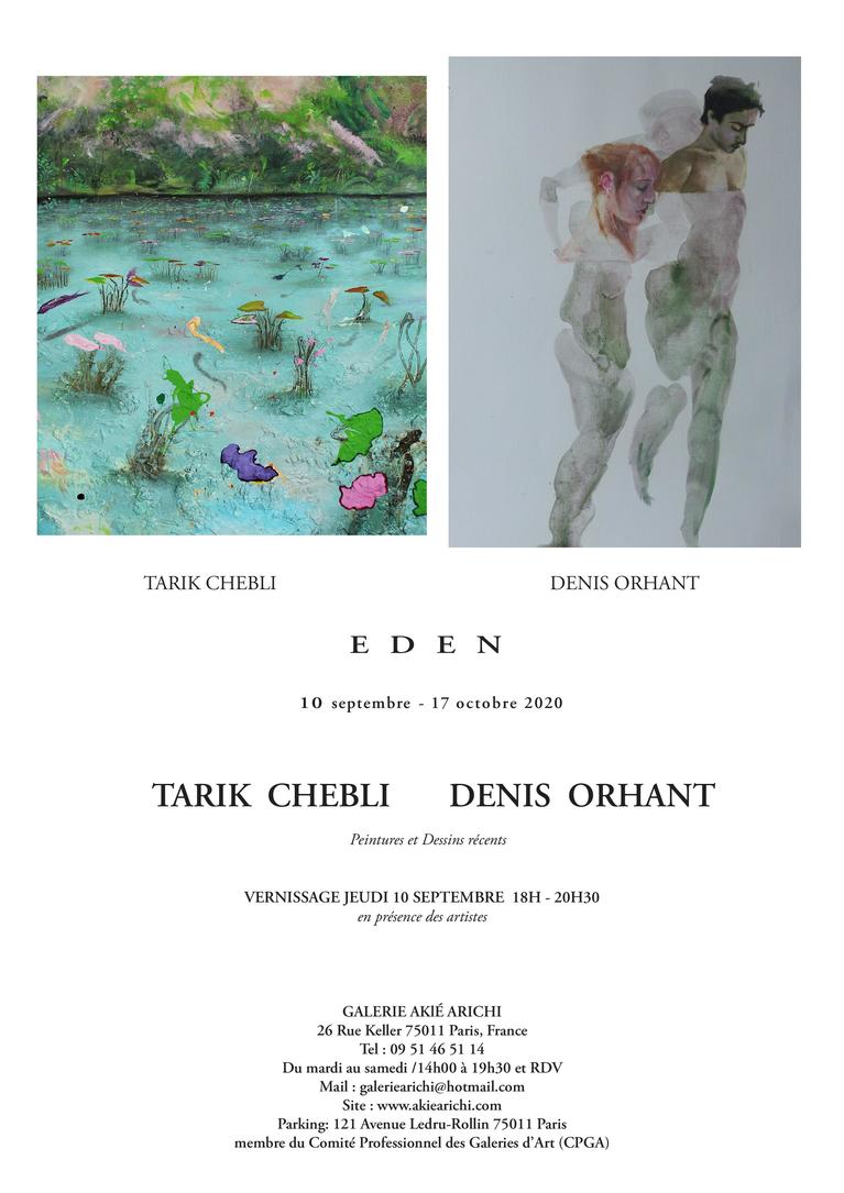 présentation du travail de  TARIK CHEBLI  et DENIS OHRANT