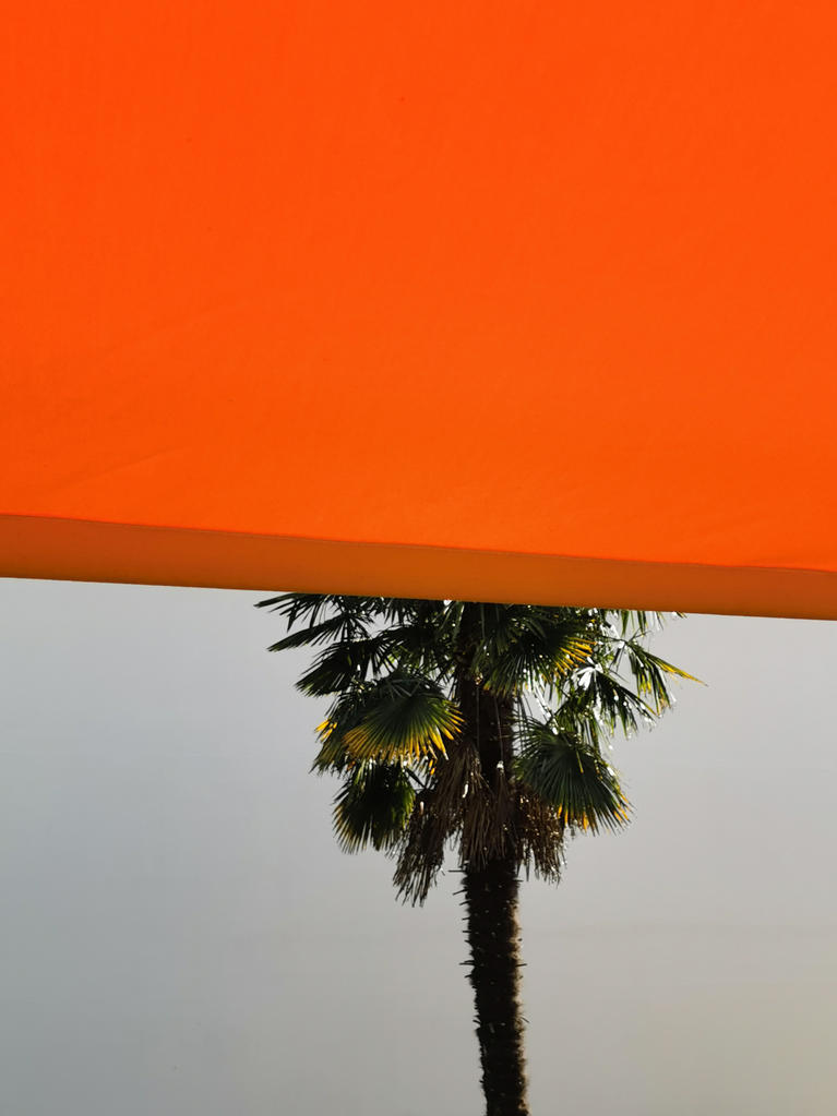 On ferme- store occultant orange, palmier à l'arrière
