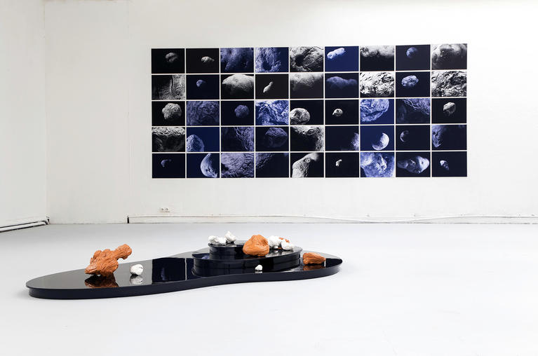Installation Arts & Sciences : Les Eteints 2020, céramiques émaillées sur plateforme laquée, 40 x 150 x 250 cm, et Asteros solanums, 2018, série de 45 photographies, 300 x 500 cm 