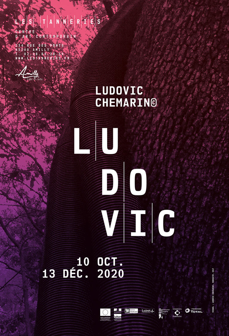 Affiche officielle de l'exposition Ludovic