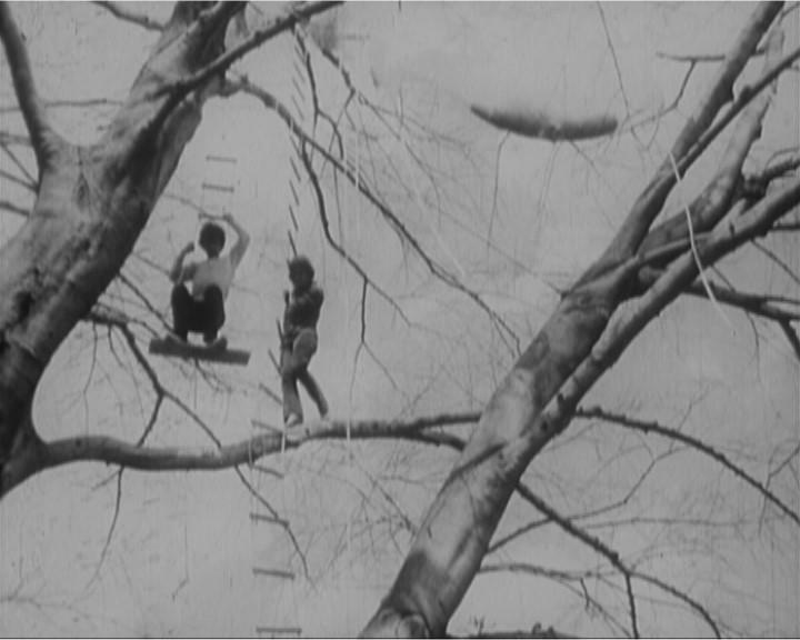 Gordon Matta-Clark, Tree Dance, Tree House, 1971, 9’