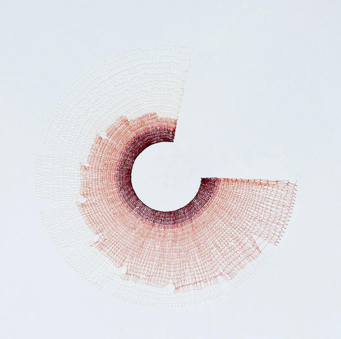 Catarina Rosa, Dessin Fil sur papier, "Ecorce III", 77x57cm, 2013