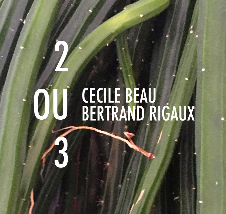 Deux ou trois, Cécile Beau et Bertrand Rigaux, galerie 22,48 m²