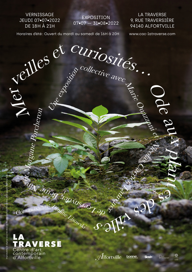 affiche de l'exposition Merveilles et curiosités... Ode aux plantes des villes