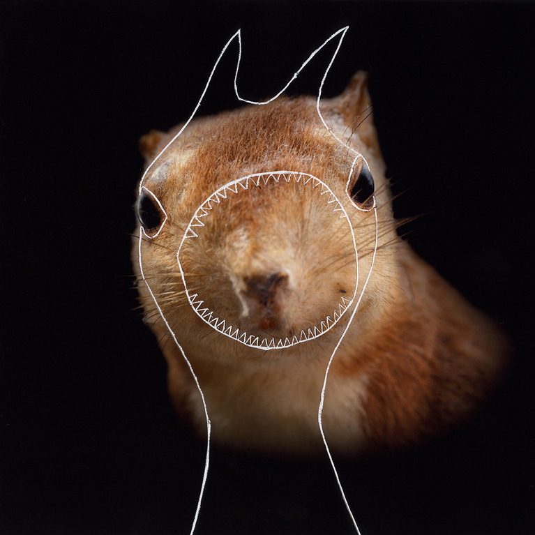 Portrait de taxidermie gravé de dessins par l'auteur, traçant des lignes-animales hybrides