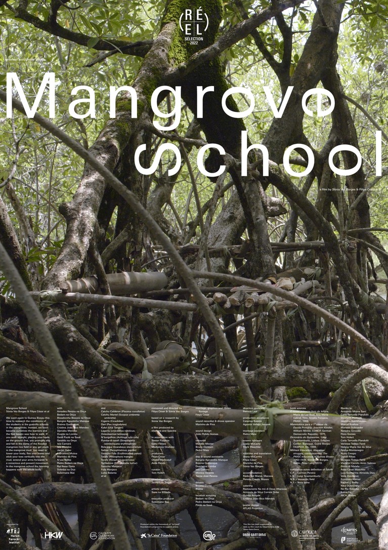 Affiche du film Mangrove School de Filipa César et Sónia Vaz Borges