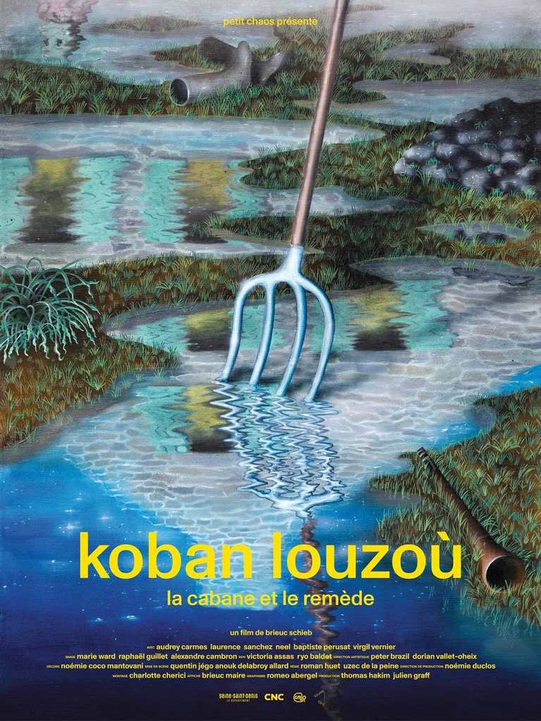 Affiche du film Koban Louzou de Brieuc Schieb