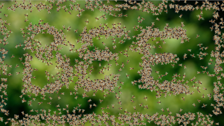 Abeilles sous fond vert qui forment le mot "abeille" en anglais