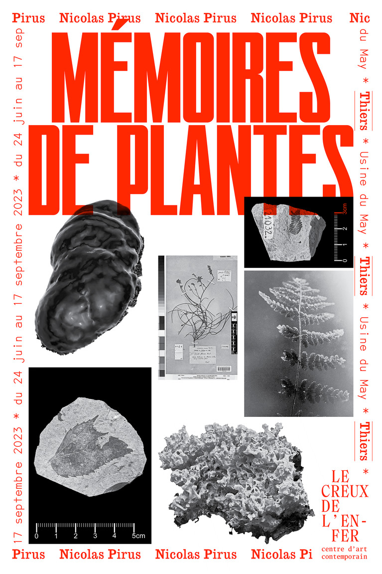 Mémoires de plantes