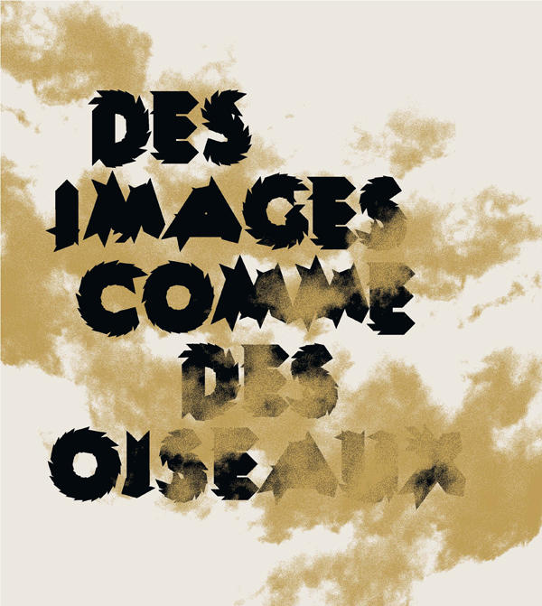 Couverture de Des images comme des oiseaux : Une traversée dans la collection photographique, Editions Loco, 2013