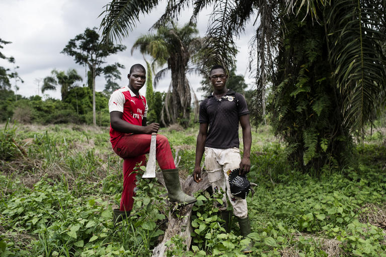 Michaël Zumstein, Dans la forêt classée de Guiglo, Aaron Ramsey, l’attaquant d’Arsenal FC, et son frère doivent toujours couper plus d’arbres pour planter plus de cacao. Pour survivre. 90% des forêts ivoiriennes ont disparu en 50 ans, juin 2019