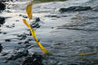 Irit Batsry, Caution : Ocean, 2007/2009, Impression Lambda sous diasec, 120 x 180 cm, Édition : 5 + 2 EA