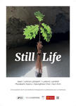 "still life " une exposition Echangeur22 en partenariat avec la chartreuse Cnes