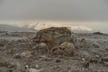 Rocher devant un paysage de montagne enneigé au loin avec des petits déchets autour qui laissent des traces de la guerre