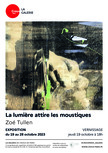 Affiche de l'exposition "La lumière attire les moustiques" de Zoé Tullen