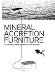 Mineral Accretion furniture,  David Enon, soutien pour une recherche/production artistique 2012